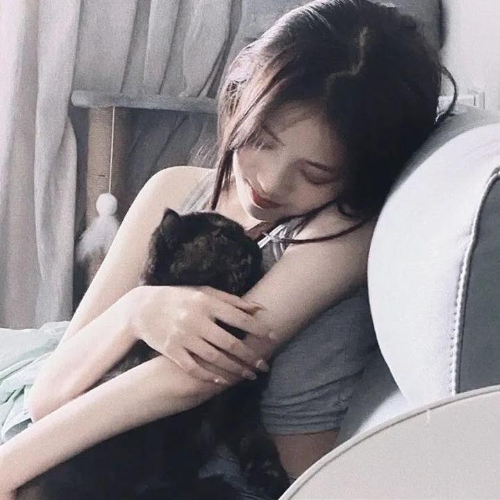律政英雄特别版 在线观看